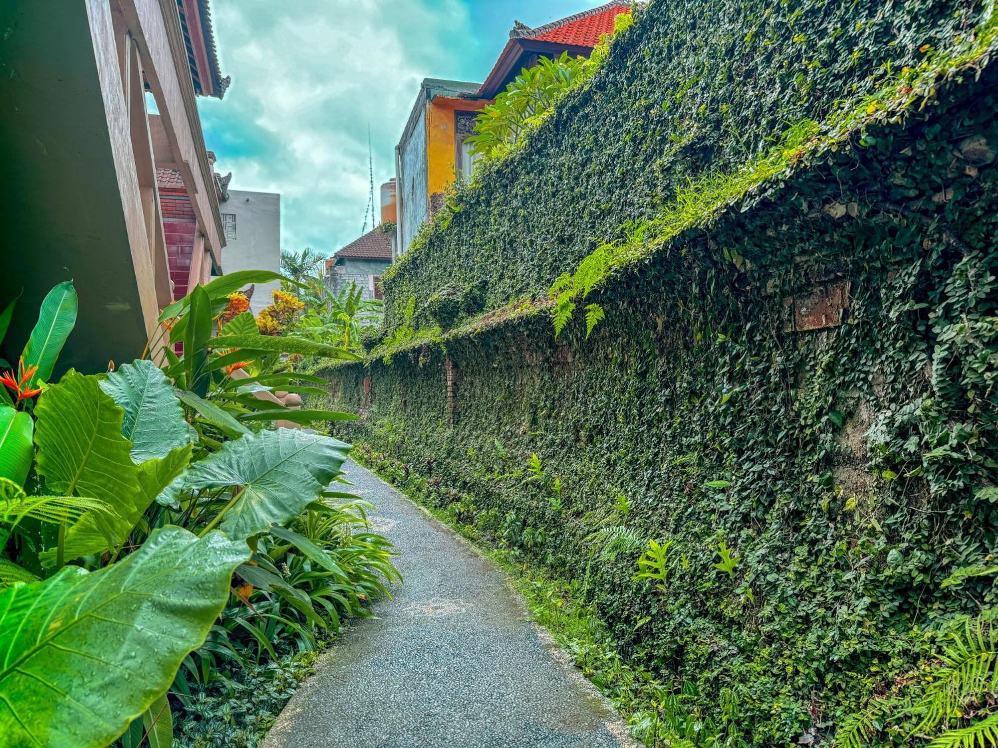 Garden View Ubud Buitenkant foto